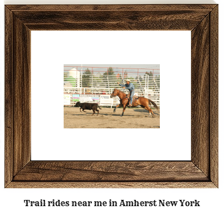 trail rides near me in Amherst, New York